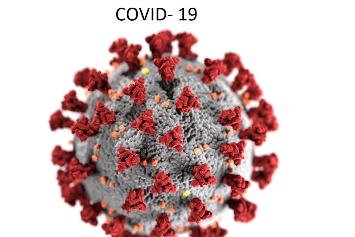 CORONA VIRUS CASES IN PAKISTAN SHARPLY INCREASED  || INDIA COVID-19 UPDATE NEWS